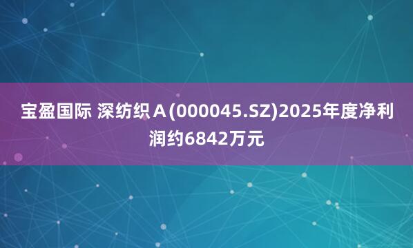 宝盈国际 深纺织Ａ(000045.SZ)2025年度净利润约6842万元