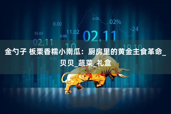 金勺子 板栗香糯小南瓜：厨房里的黄金主食革命_贝贝_蔬菜_礼盒